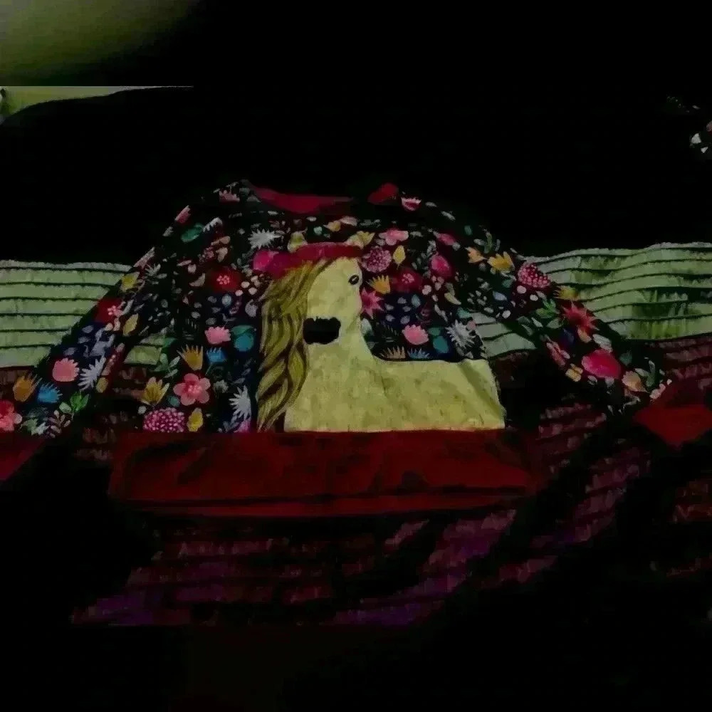 Horse sweater - girls size 14